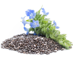 Chia Oil