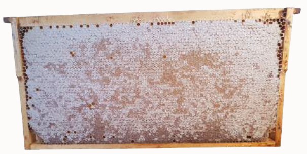 Honeycomb frame